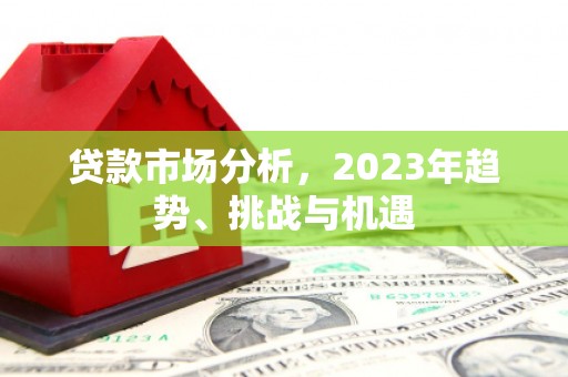 双柏贷款市场分析，2023年趋势、挑战与机遇