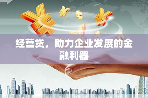 桐庐经营贷，助力企业发展的金融利器