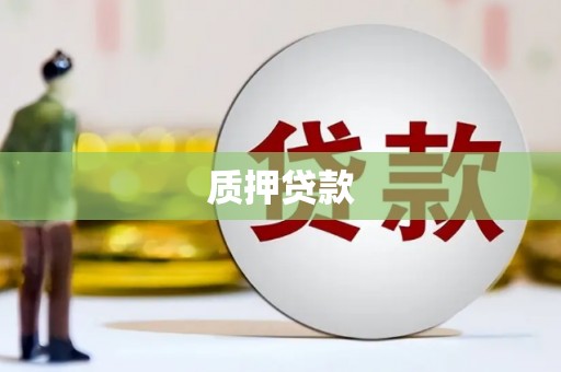 南康质押贷款