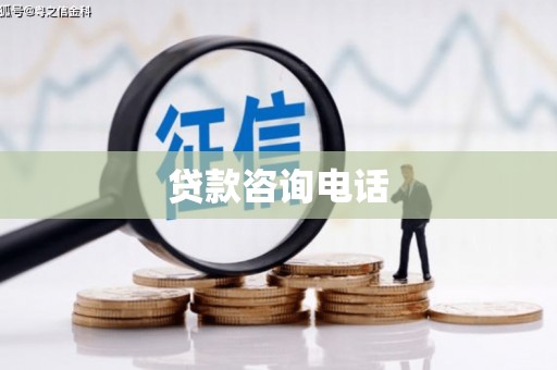 东明贷款咨询电话