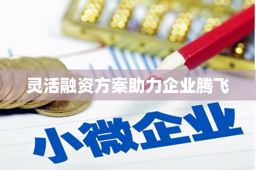 阜平灵活融资方案助力企业腾飞
