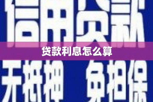 紫金贷款利息怎么算