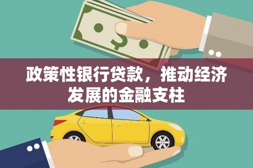 九龙城政策性银行贷款，推动经济发展的金融支柱