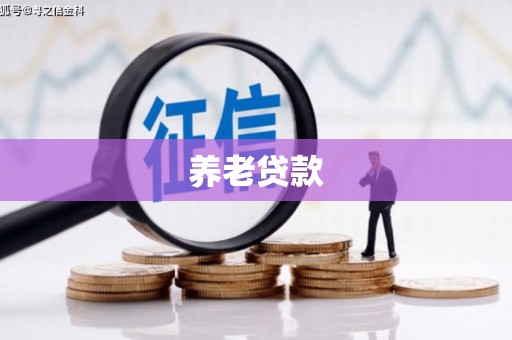 石排养老贷款