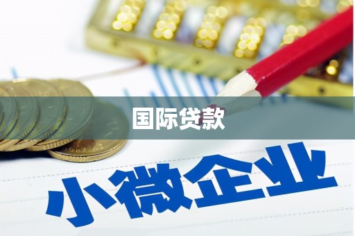 保康国际贷款