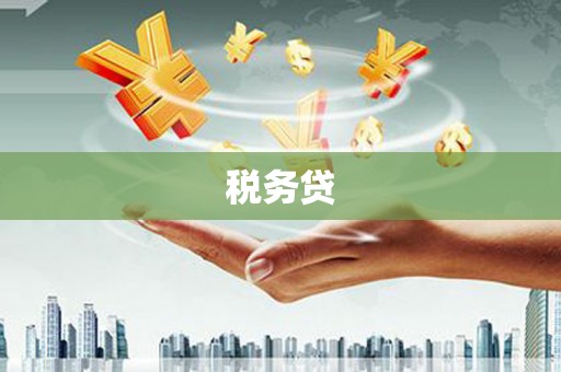 太白税务贷