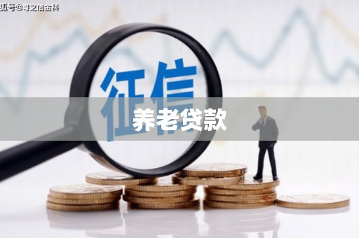贾汪养老贷款
