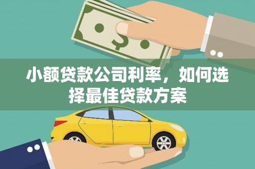 安化小额贷款公司利率，如何选择最佳贷款方案