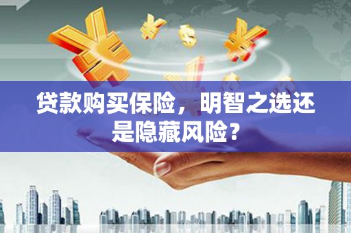 宁夏贷款购买保险，明智之选还是隐藏风险？