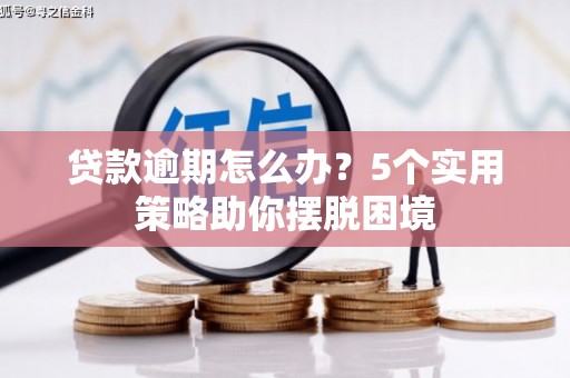 温州贷款逾期怎么办？5个实用策略助你摆脱困境