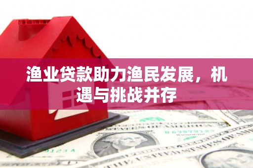 学甲渔业贷款助力渔民发展，机遇与挑战并存