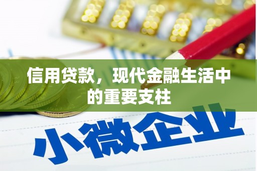 泾河信用贷款，现代金融生活中的重要支柱
