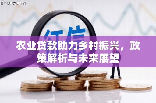 盐源农业贷款助力乡村振兴，政策解析与未来展望