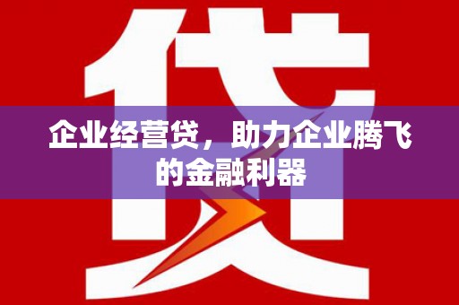 武隆企业经营贷，助力企业腾飞的金融利器