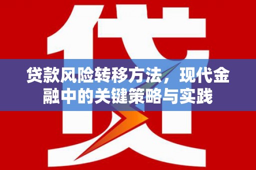 山海关贷款风险转移方法，现代金融中的关键策略与实践