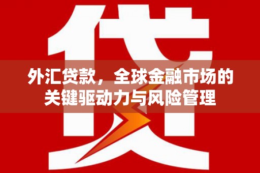 昂仁外汇贷款，全球金融市场的关键驱动力与风险管理