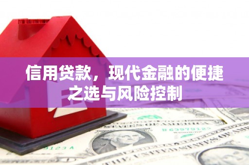 大溪信用贷款，现代金融的便捷之选与风险控制