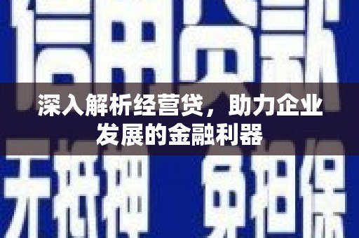 左镇深入解析经营贷，助力企业发展的金融利器