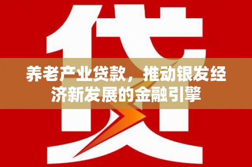 公安养老产业贷款，推动银发经济新发展的金融引擎