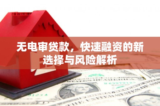 罗城无电审贷款，快速融资的新选择与风险解析