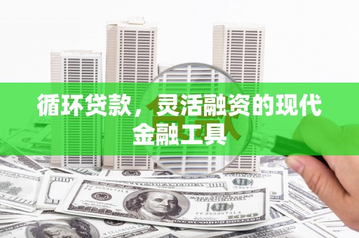 曲麻莱循环贷款，灵活融资的现代金融工具