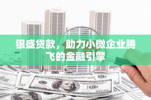 红寺堡银盛贷款，助力小微企业腾飞的金融引擎
