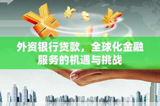 海盐外资银行贷款，全球化金融服务的机遇与挑战