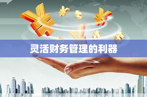 镇康灵活财务管理的利器