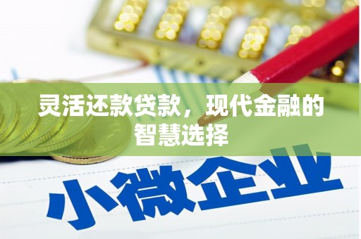 苍南灵活还款贷款，现代金融的智慧选择