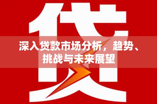 特克斯深入贷款市场分析，趋势、挑战与未来展望