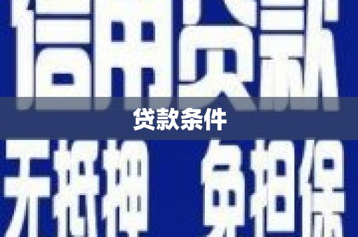 玉树贷款条件