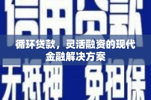 大丰循环贷款，灵活融资的现代金融解决方案