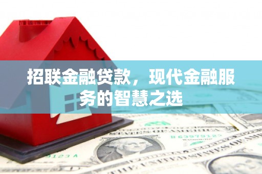 田阳招联金融贷款，现代金融服务的智慧之选
