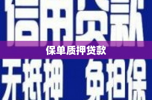 石城保单质押贷款