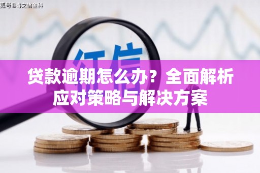 北关贷款逾期怎么办？全面解析应对策略与解决方案