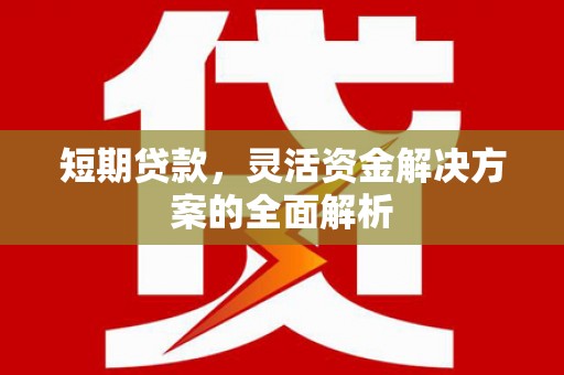 春日短期贷款，灵活资金解决方案的全面解析