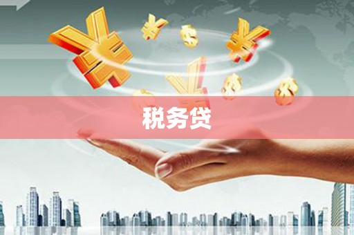 江口税务贷