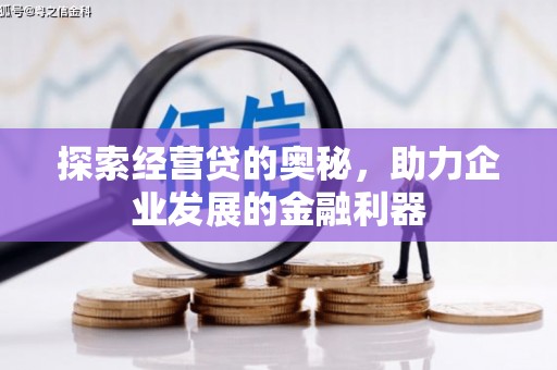 勐海探索经营贷的奥秘，助力企业发展的金融利器