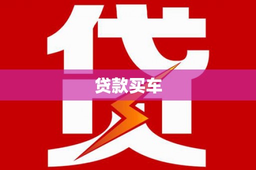 忻府贷款买车