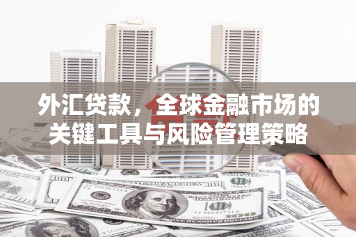 前镇外汇贷款，全球金融市场的关键工具与风险管理策略