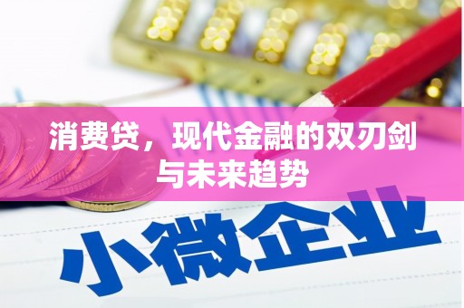 沂水消费贷，现代金融的双刃剑与未来趋势