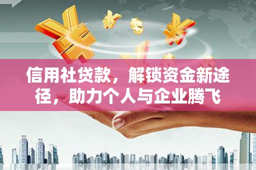大名信用社贷款，解锁资金新途径，助力个人与企业腾飞