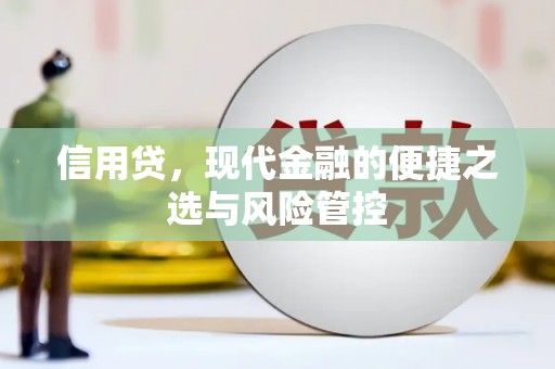 富裕信用贷，现代金融的便捷之选与风险管控