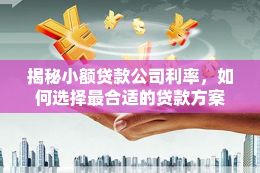 西安揭秘小额贷款公司利率，如何选择最合适的贷款方案
