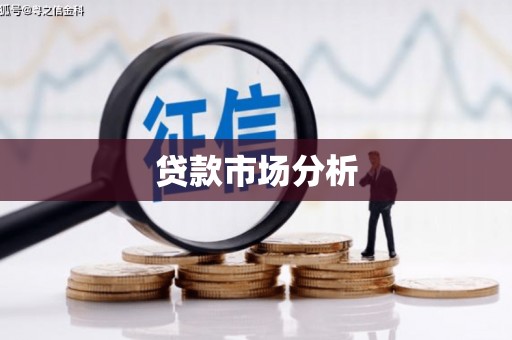 仁爱贷款市场分析