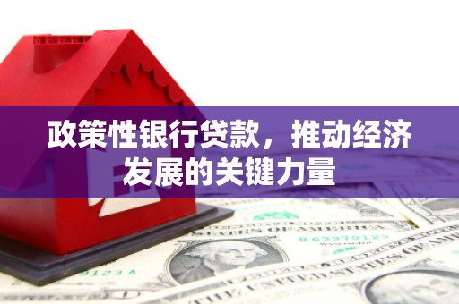 长洲政策性银行贷款，推动经济发展的关键力量