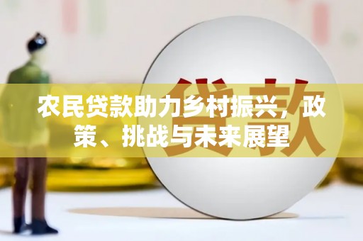 中和农民贷款助力乡村振兴，政策、挑战与未来展望