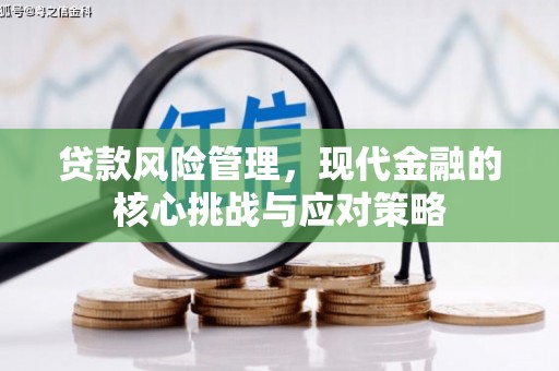 西港贷款风险管理，现代金融的核心挑战与应对策略
