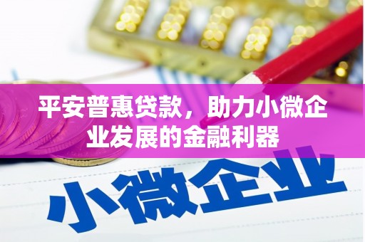 武陟平安普惠贷款，助力小微企业发展的金融利器