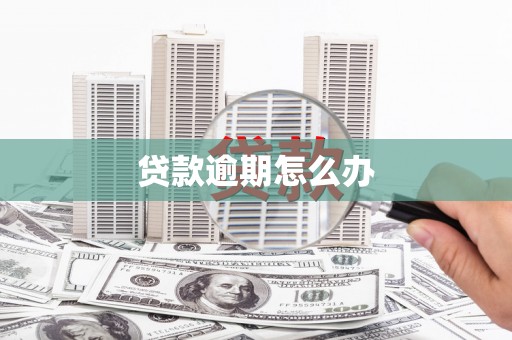 山东贷款逾期怎么办